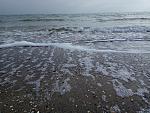     
: IMG_20181124_112004.jpg
: 22
:	231.4 
ID:	12951102
