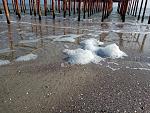     
: IMG_20181124_115559.jpg
: 24
:	300.8 
ID:	12951106