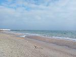     
: IMG_20181124_115256.jpg
: 18
:	125.4 
ID:	12951110