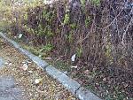     
: IMG_20181124_110023.jpg
: 20
:	305.9 
ID:	12951112