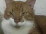     
: IMG-667f72ff50bddeeec8578b82c5d03757-V.jpg
: 58
:	37.4 
ID:	12955059