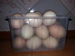     
: 20181128_135224.jpg
: 25
:	77.2 
ID:	12955811