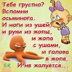     
: s72171970.jpg
: 70
:	116.8 
ID:	12957690