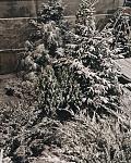     
: 26F4A687-6D96-4810-A356-A0A248260123.jpg
: 53
:	197.0 
ID:	12958823