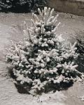     
: A7BD8EC6-1C09-4258-8606-40E02C556F9C.jpg
: 59
:	149.1 
ID:	12958829