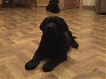     
: DSC00199small.jpg
: 187
:	31.0 
ID:	129601