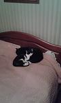     
: 20181202_174425.jpg
: 24
:	50.1 
ID:	12963016