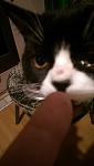     
: ZOE_0004.jpg
: 12
:	36.1 
ID:	12964633