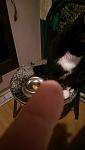     
: ZOE_0005.jpg
: 11
:	43.1 
ID:	12964634
