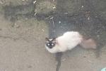     
: vGs9oC1WXYw.jpg
: 23
:	24.5 
ID:	12970193