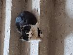     
: 20181209_120458.jpg
: 15
:	126.1 
ID:	12970341