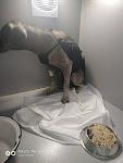     
: IMG-bb703b54a89767a0bd330111fc1276f8-V.jpg
: 15
:	60.6 
ID:	12971108