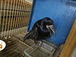     
: 22012975_m.jpg
: 93
:	50.4 
ID:	12972232