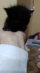     
: IMG-7c5d4b16ce100532b0eece9403036de6-V.jpg
: 5
:	35.8 
ID:	12974406