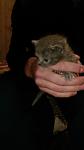     
: IMG-e9b75f2c49ad2c157a3f2a48cbc6b88e-V.jpg
: 10
:	23.6 
ID:	12974407