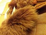     
: 20181111_115054.jpg
: 45
:	176.9 
ID:	12975820