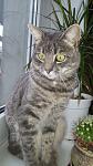     
: 20181218_104330.jpg
: 10
:	101.8 
ID:	12980138