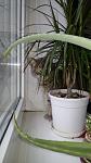     
: 20181218_104255.jpg
: 9
:	73.1 
ID:	12980139