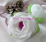     
: IMG_20181225_131608.jpg
: 21
:	125.2 
ID:	12987083