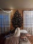     
: IMG_20181228_163636769.jpg
: 20
:	71.8 
ID:	12989390