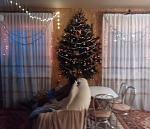     
: IMG_20181228_233916.jpg
: 16
:	110.5 
ID:	12989391