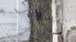     
: 20190102_153452.jpg
: 23
:	76.0 
ID:	12991851