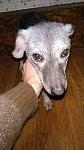     
: IMG-f2d4ffeb923bf40b40451b5ec9b6fd03-V.jpg
: 9
:	90.9 
ID:	12992107