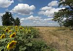     
: ALB_3813.jpg
: 44
:	173.0 
ID:	12992368