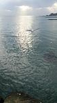     
: P90106-100007.jpg
: 15
:	46.5 
ID:	12994821
