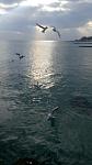     
: P90106-100028.jpg
: 16
:	44.3 
ID:	12994822