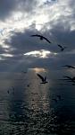     
: P90106-095836.jpg
: 15
:	43.1 
ID:	12994825