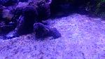     
: 20190110_121422.jpg
: 19
:	115.9 
ID:	12998447