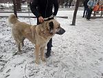    
: IMG-3caa466878f7772a1053dc68f69a24c7-V.jpg
: 19
:	218.7 
ID:	13000239