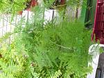     
: IMG_20190106_134615_360.jpg
: 15
:	209.5 
ID:	13002596