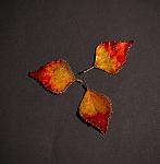     
: DSC_9943.jpg
: 8
:	136.2 
ID:	13004928
