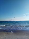     
: IMG_20190119_104222.jpg
: 21
:	56.6 
ID:	13006137