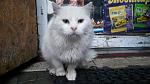     
: IMG_20190123_153418.jpg
: 75
:	104.6 
ID:	13010320