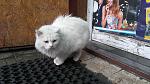     
: IMG_20190123_153143.jpg
: 26
:	126.1 
ID:	13010321