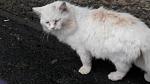     
: IMG_20190123_125125.jpg
: 25
:	70.0 
ID:	13010322