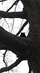     
: IMG_20190121_094823.jpg
: 21
:	80.9 
ID:	13010323