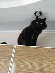     
: IMG_20181125_142617.jpg
: 13
:	71.6 
ID:	13013142