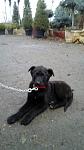     
: IMG-2f339c2dc72b1e611325281d7fb59902-V.jpg
: 69
:	64.3 
ID:	13013339