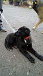     
: IMG-b09c82c1771f90ec003f957e6bfd357f-V.jpg
: 62
:	62.3 
ID:	13013342