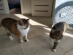     
: IMG_20190129_135058.jpg
: 10
:	121.1 
ID:	13015453