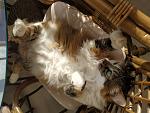     
: IMG_20190129_141459.jpg
: 10
:	154.4 
ID:	13015456