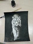     
: P71226-231113.jpg
: 8
:	94.6 
ID:	13016650