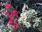     
: AFA15C6C-719F-4476-923F-01D3BD842531.jpg
: 18
:	140.7 
ID:	13018554