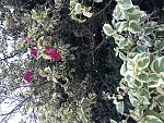     
: FDC8E8F0-5573-44FF-9187-03339FED3C95.jpg
: 19
:	201.3 
ID:	13018557