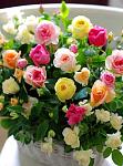     
: FB_IMG_1549111374025.jpg
: 18
:	57.0 
ID:	13020325