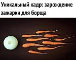     
: 353545511_viberimage3.jpg.c3ec51c42a2e763d32840db9cc59ee63.jpg
: 19
:	101.7 
ID:	13022548